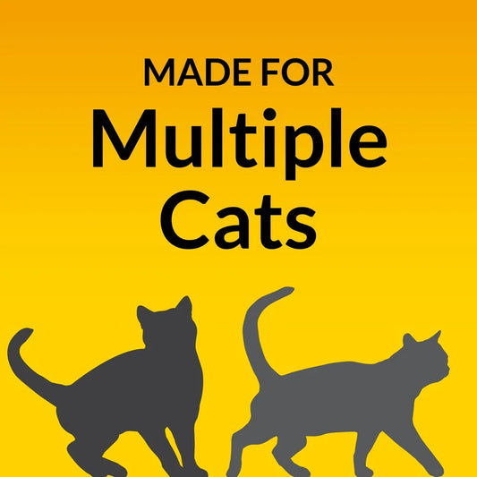 48lb Multi-Cat Non-Clumping Clay Litter Odor