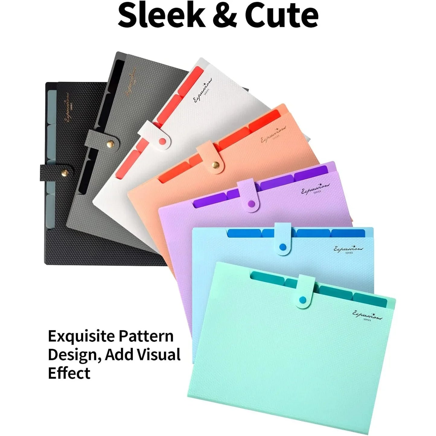 Expandable File Folder Letter Size Portable Organizer