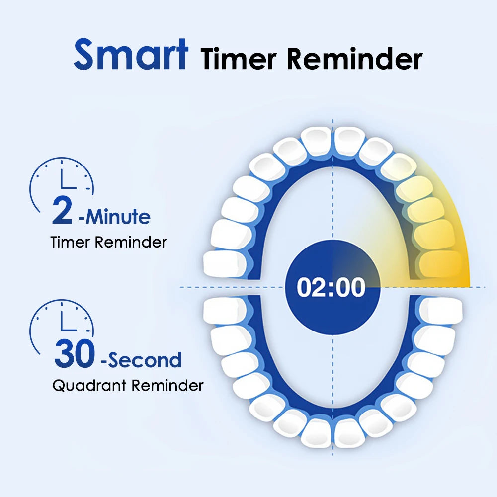 Electric Toothbrush Waterproof Smart Timer Rechargeable