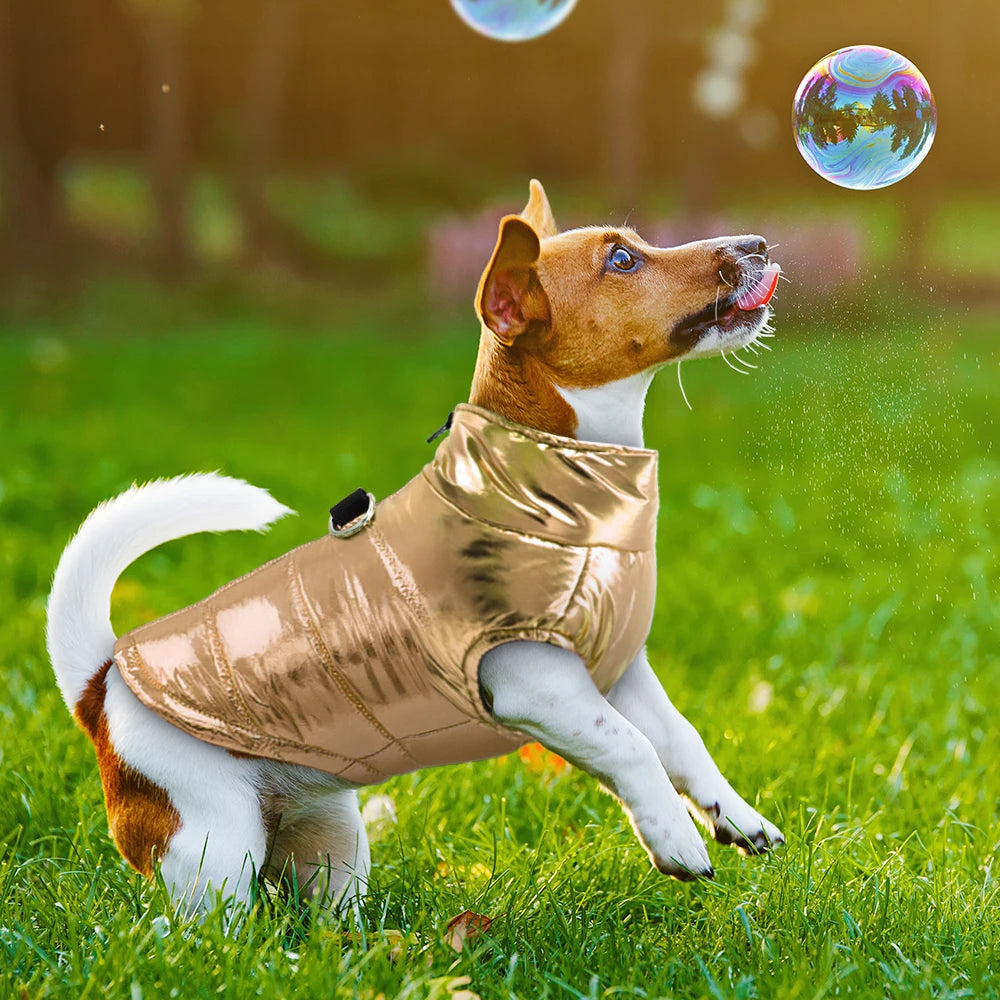 Waterproof Winter Puffer Jacket for Small Dogs