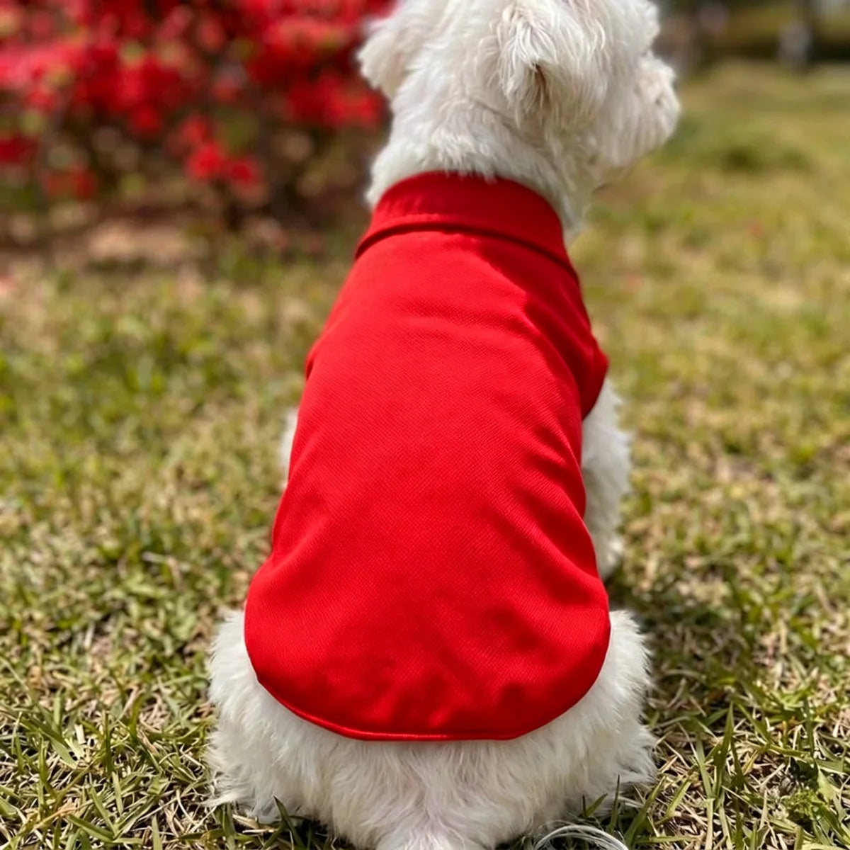 Soft Breathable Puppy & Cat Polo Shirt