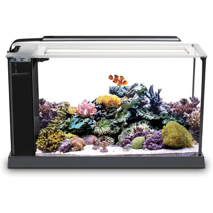 5-Gallon Saltwater Nano Glass Fish Tank