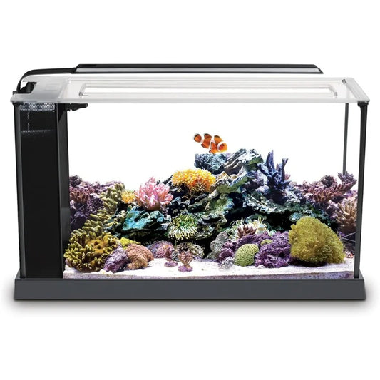 5-Gallon Saltwater Nano Glass Fish Tank