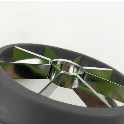 Stainless Steel 8-Slice Apple Slicer Cutter