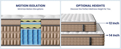 12-Inch Hybrid Gel Memory Foam Mattress
