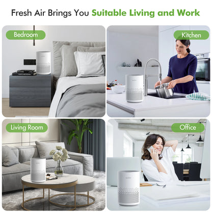 True HEPA Air Purifier with Ionizer