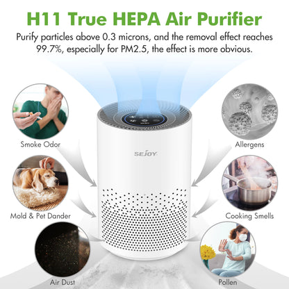 True HEPA Air Purifier with Ionizer