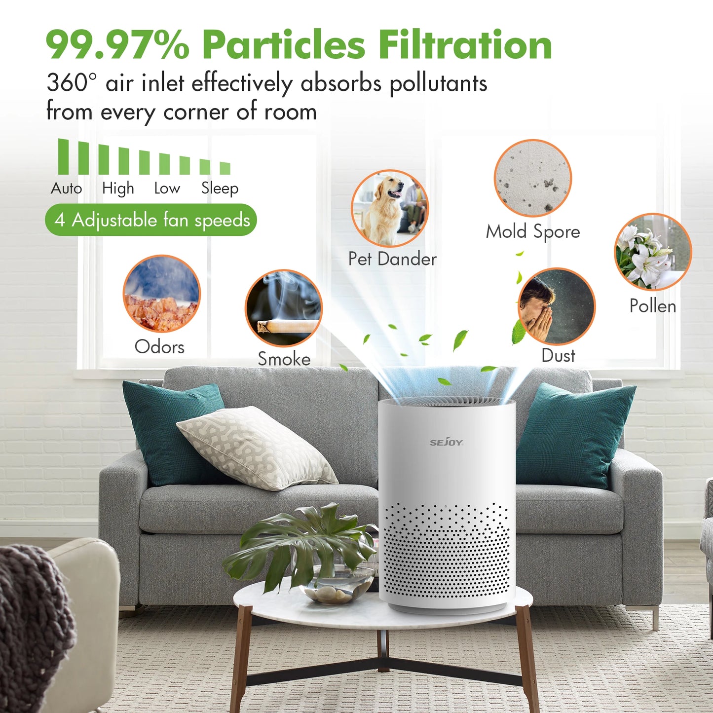 True HEPA Air Purifier with Ionizer