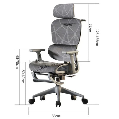 Swivel Ergonomic Office Chair with Lumbar Support