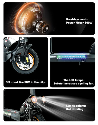 800W Adult Electric Scooter Long Range 48V