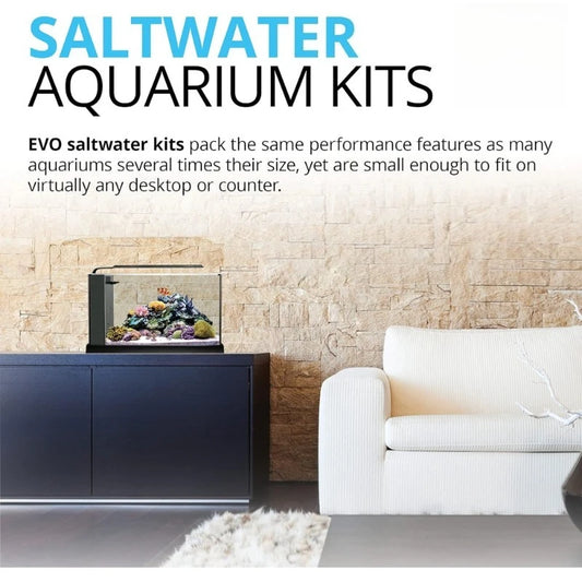 5-Gallon Saltwater Nano Glass Fish Tank