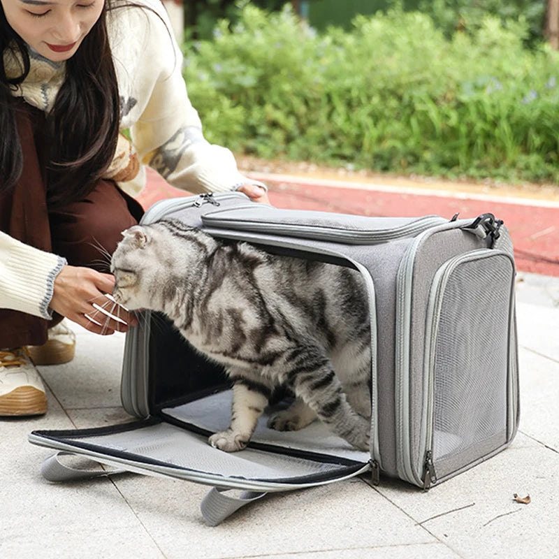 Airline Approved Soft-Sided Pet Carrier Backpack & Handbag