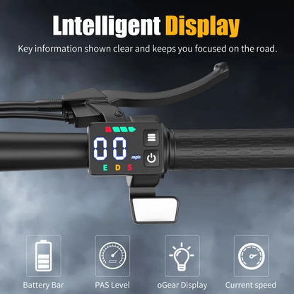 Folding Electric Scooter 500W Commuter Travel