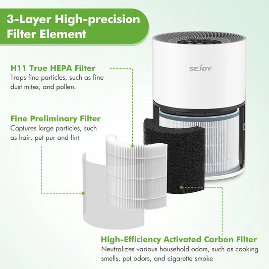 True HEPA Air Purifier with Ionizer