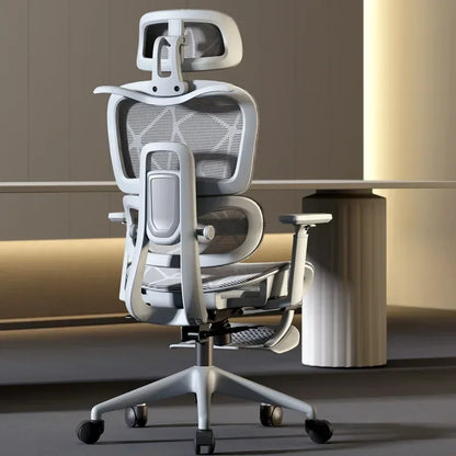 Swivel Ergonomic Office Chair with Lumbar Support